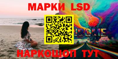 PSILOCYBIN Бердск