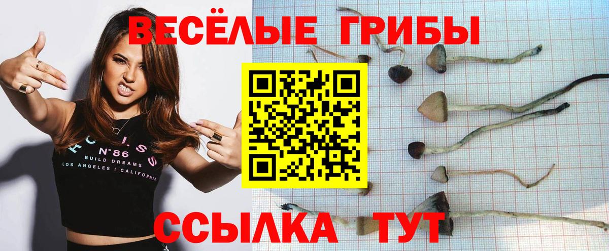 Волхов  Галлюциногенные грибы MAGIC MUSHROOMS  Галлюциногенные грибы прущие грибы  Вход с VPN 